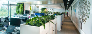 Read more about the article 5 Simple Steps for a Green Office