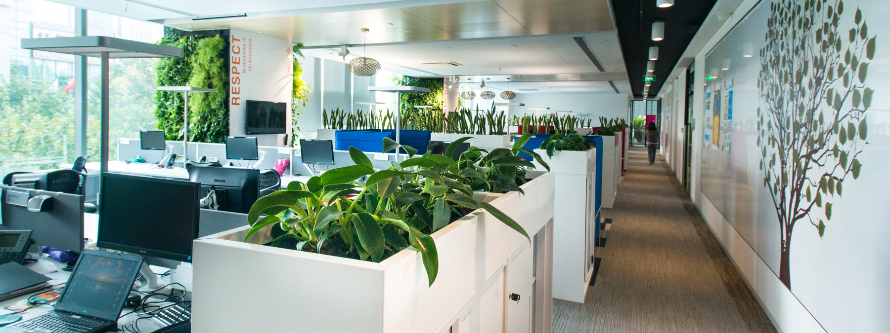 You are currently viewing 5 Simple Steps for a Green Office